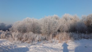 20160123_085943